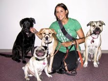 Tracey Schencker and the dogs she walks